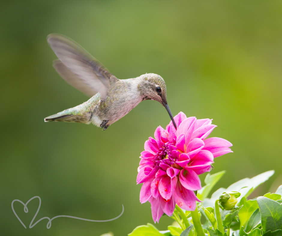 Bloom: A 90-Minute Journey to Self-Discovery & Joy - May 2025