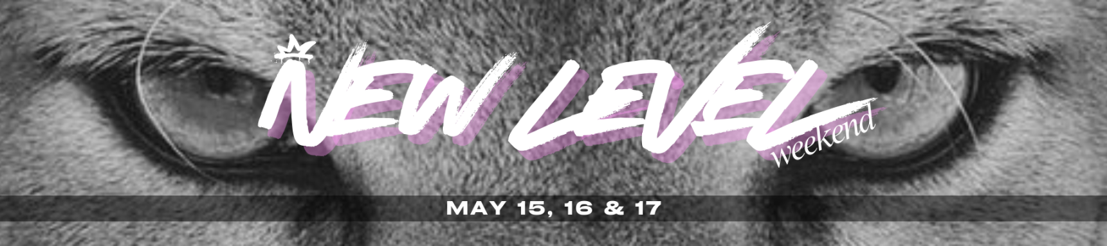 TU HQ New Level Weekend