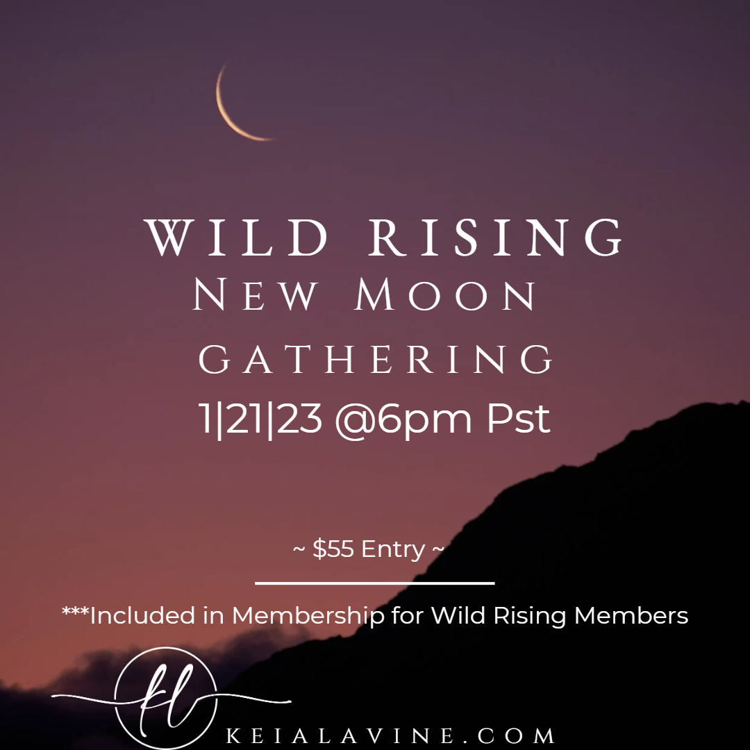 Wild Rising New Moon Gathering 